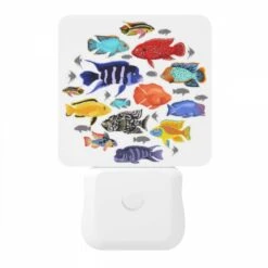 Night Light, A Collection Of Colorful Fish In A Circle. 8 Night Light, A Collection Of Colorful Fish In A Circle. -Pattern Diy Shop 42a2df47c75fae6f2662b3106e33cc617f05dcb3