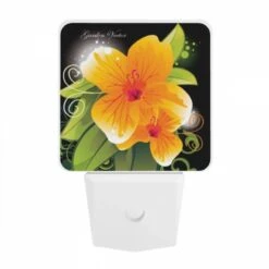 Night Light, B35233ed-a2ad-4d69-89a1-a5ec0759e2b6.jpeg -Pattern Diy Shop 4a9c75535ca235c118af490135d465e1104f0426