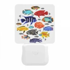 Night Light, A Collection Of Colorful Fish In A Circle. 9 Night Light, A Collection Of Colorful Fish In A Circle. -Pattern Diy Shop 53f8740658e3166d8868f390270551159b4e3d36