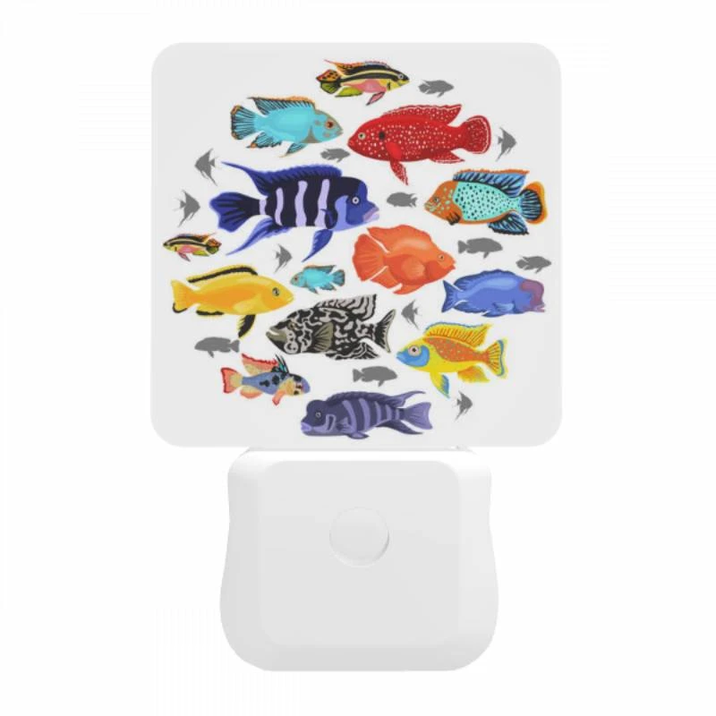 Night Light, A collection of colorful fish in a circle. Night Light, A Collection Of Colorful Fish In A Circle. -Pattern Diy Shop 53f8740658e3166d8868f390270551159b4e3d36