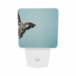 Night Light Set Of 2, A Silver Mermaid Tail Hanging From The Ceiling. 6 Night Light Set Of 2, A Silver Mermaid Tail Hanging From The Ceiling. -Pattern Diy Shop 61d3588fccb726e8b173b65ffc0dd7c6e7b53e49