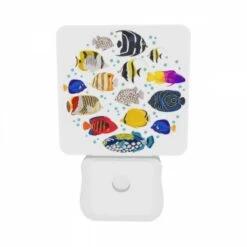Night Light Set Of 2, A Colorful Group Of Fish Swimming In The Ocean. 7 Night Light Set Of 2, A Colorful Group Of Fish Swimming In The Ocean. -Pattern Diy Shop 6c419167acbcaf3a5b1fff1618b217c44c28bc1c