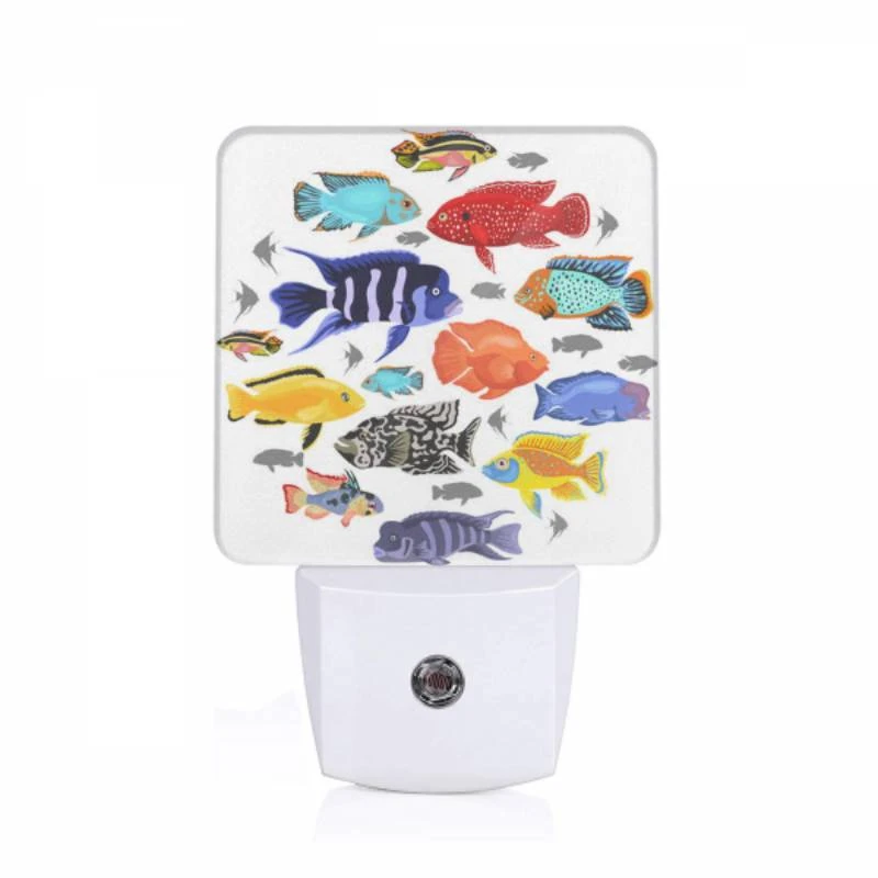 Night Light, A collection of colorful fish in a circle. Night Light, A Collection Of Colorful Fish In A Circle. -Pattern Diy Shop 74447cdde902b391b4ad264840ca8a38bdb71623