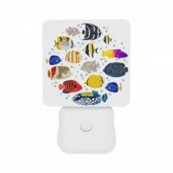 Night Light Set Of 2, A Colorful Group Of Fish Swimming In The Ocean. 8 Night Light Set Of 2, A Colorful Group Of Fish Swimming In The Ocean. -Pattern Diy Shop 7fb7a0c5c95d2118491c984f3c68728fa228daba