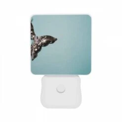 Night Light Set Of 2, A Silver Mermaid Tail Hanging From The Ceiling. 8 Night Light Set Of 2, A Silver Mermaid Tail Hanging From The Ceiling. -Pattern Diy Shop 8178149c780375ecd0ebfd75f3f2016e9971920b