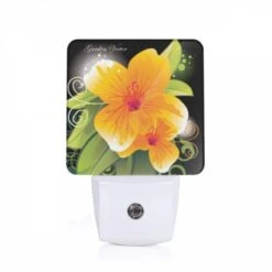 Night Light, B35233ed-a2ad-4d69-89a1-a5ec0759e2b6.jpeg