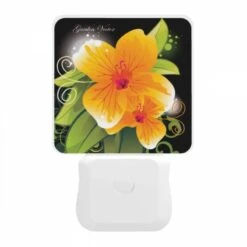 Night Light, B35233ed-a2ad-4d69-89a1-a5ec0759e2b6.jpeg -Pattern Diy Shop 95c1a306c9e3cadcc83fe03ecb3f5b060a28d9d7