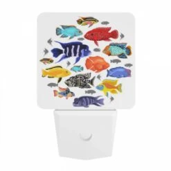 Night Light, A Collection Of Colorful Fish In A Circle. 7 Night Light, A Collection Of Colorful Fish In A Circle. -Pattern Diy Shop b1c7f6e859546cea9e942d3a4328b3d4023a2b34