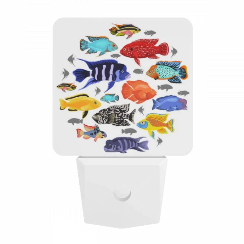 Night Light, A collection of colorful fish in a circle. Night Light, A Collection Of Colorful Fish In A Circle. -Pattern Diy Shop b1c7f6e859546cea9e942d3a4328b3d4023a2b34