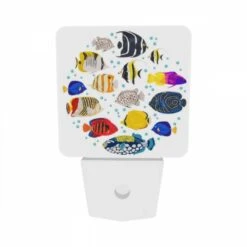 Night Light Set Of 2, A Colorful Group Of Fish Swimming In The Ocean. 6 Night Light Set Of 2, A Colorful Group Of Fish Swimming In The Ocean. -Pattern Diy Shop f04dfe677cd44c5ccddc72d0d9ce6bacf6366390