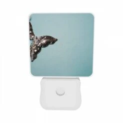 Night Light Set Of 2, A Silver Mermaid Tail Hanging From The Ceiling. 7 Night Light Set Of 2, A Silver Mermaid Tail Hanging From The Ceiling. -Pattern Diy Shop f120314df2917f92ce311725eb661a4688af161a